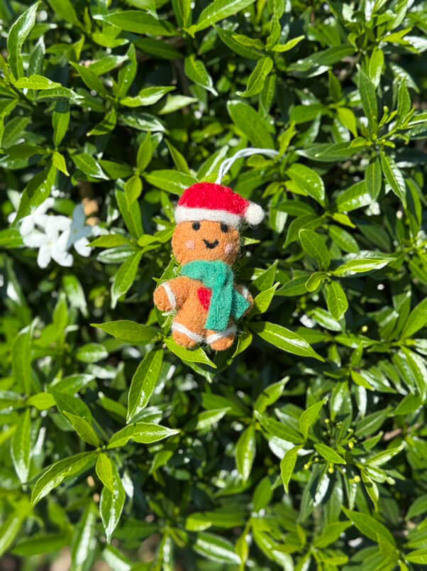 Tara Treasures x My Little Creator Gingerbread man (special edition)