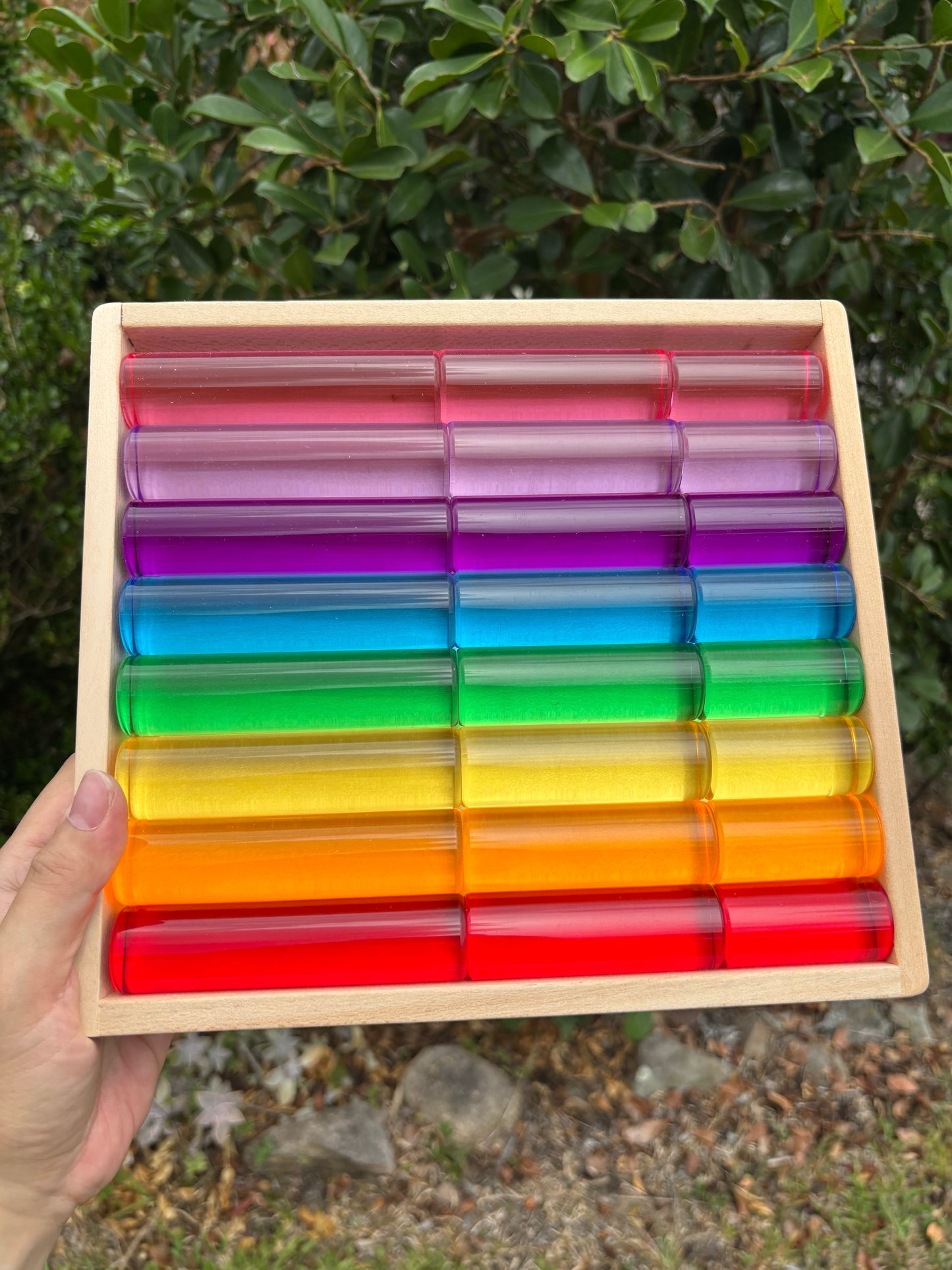 Pre-order Only: Pillars of Light