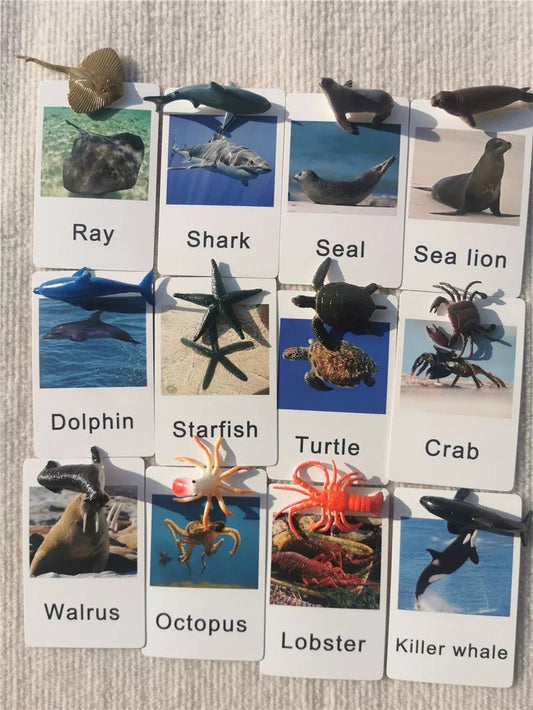 Animals matching game - Sea Animals