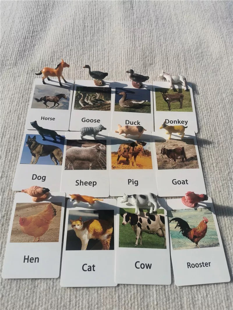 Animals matching game - Fowl