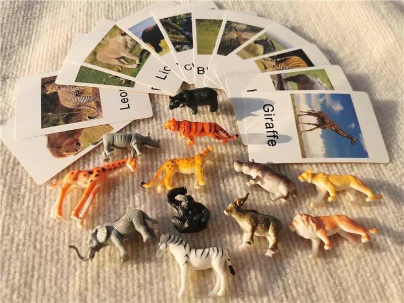 Animals matching game - Wild animals