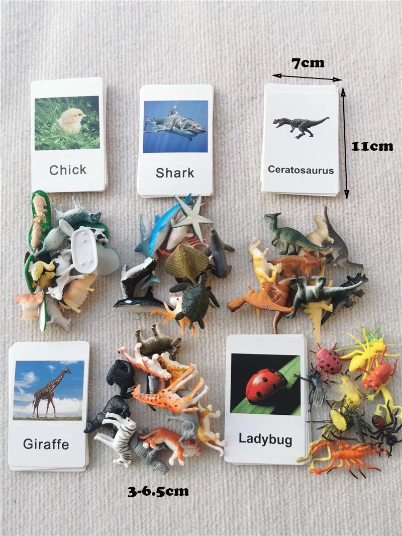 Animals matching game - Sea Animals