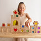 Kingdom bundle set - Rainbow Lucite Kingdom and Lucite Creative Set