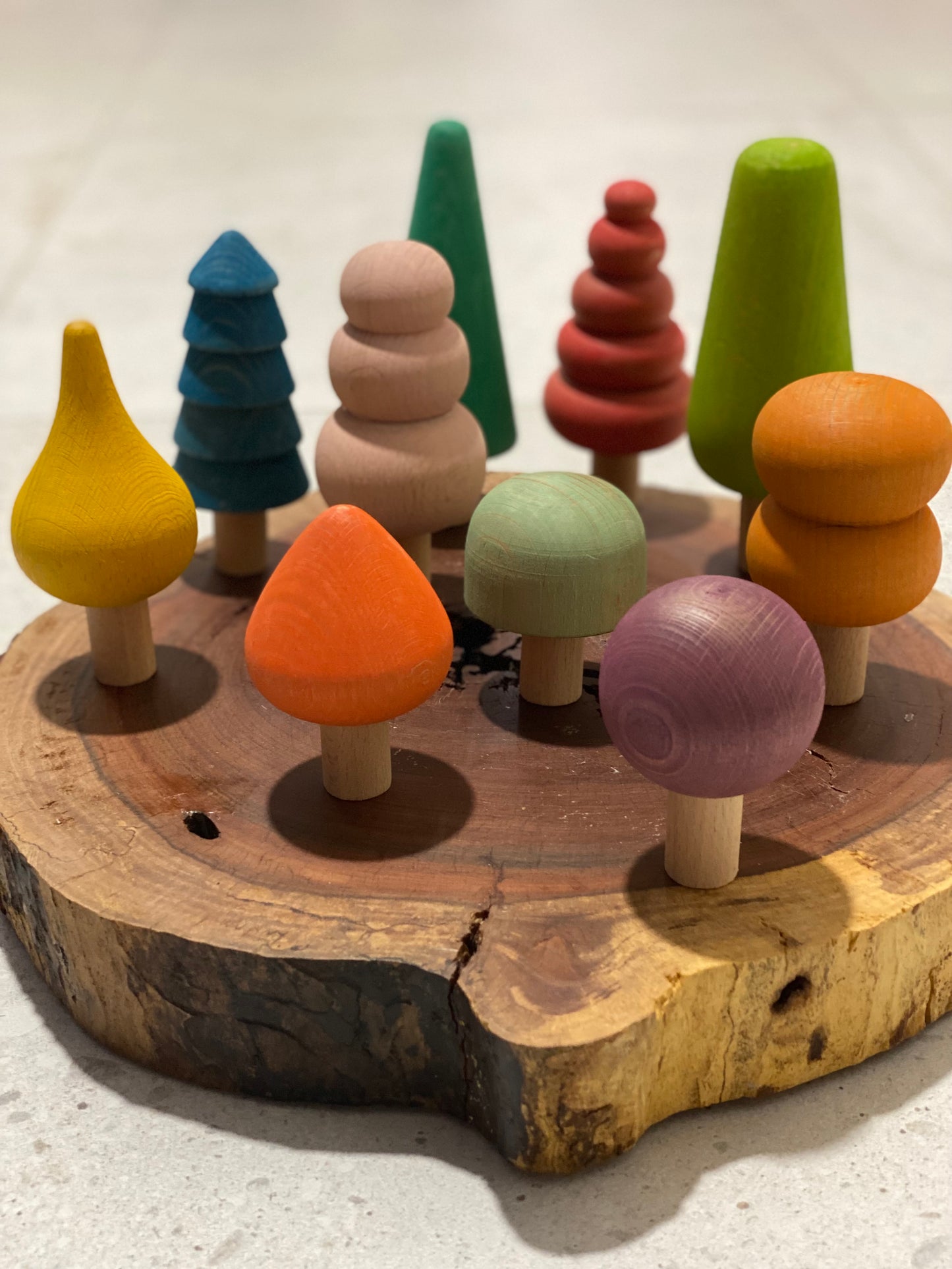 Rainbow forest wooden trees 10 pieces in a set